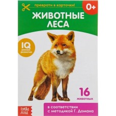 Обучающая книжка по методике Г. Домана «Лесные животные»