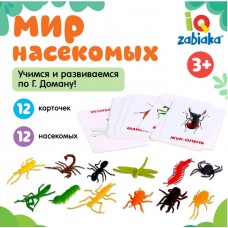 Развивающий набор с карточками «Мир насекомых»