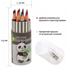 Карандаши цветные укороченные "FUNCOLOR" (пластиковые) в картонной тубе 12 цв.